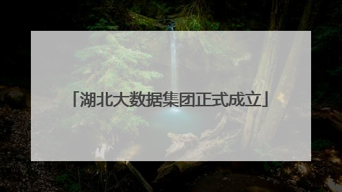 湖北大数据集团正式成立