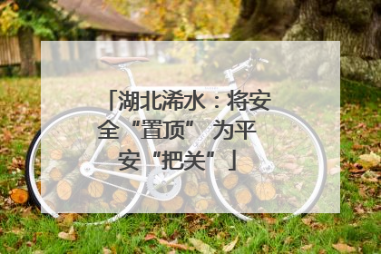 湖北浠水：将安全“置顶” 为平安“把关”