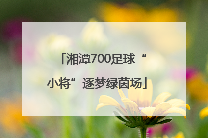 湘潭700足球“小将”逐梦绿茵场