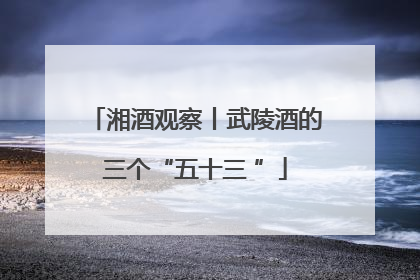 湘酒观察丨武陵酒的三个“五十三 ”