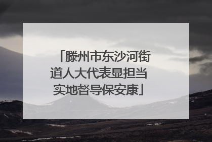 滕州市东沙河街道人大代表显担当实地督导保安康