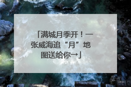 满城月季开！一张威海追“月”地图送给你→