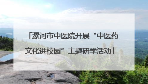 漯河市中医院开展“中医药文化进校园”主题研学活动