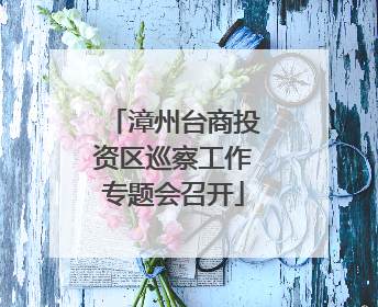 漳州台商投资区巡察工作专题会召开