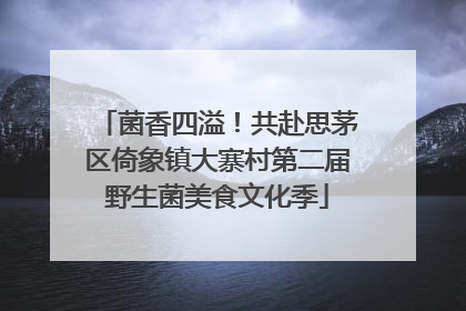菌香四溢！共赴思茅区倚象镇大寨村第二届野生菌美食文化季