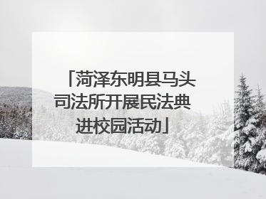 菏泽东明县马头司法所开展民法典进校园活动