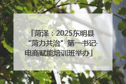 菏泽：2025东明县“菏力共治”第一书记·电商赋能培训班举办