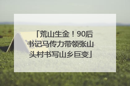 荒山生金！90后书记马传力带领张山头村书写山乡巨变