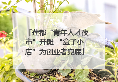 莲都“青年人才夜市”开摊 “盒子小店”为创业者兜底