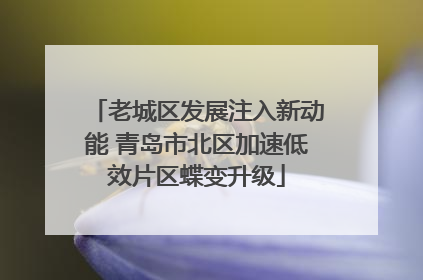 老城区发展注入新动能 青岛市北区加速低效片区蝶变升级