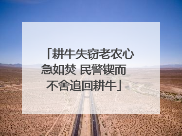 耕牛失窃老农心急如焚 民警锲而不舍追回耕牛