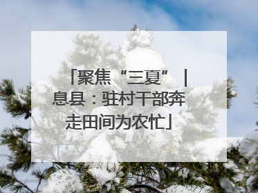 聚焦“三夏”|息县:驻村干部奔走田间为农忙