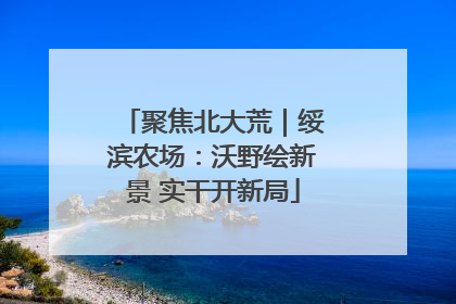 聚焦北大荒｜绥滨农场：沃野绘新景 实干开新局