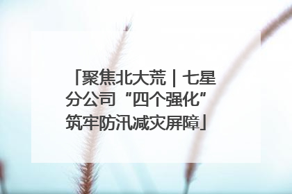 聚焦北大荒｜七星分公司“四个强化”筑牢防汛减灾屏障