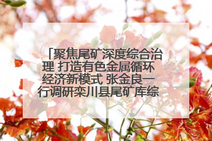 聚焦尾矿深度综合治理 打造有色金属循环经济新模式 张金良一行调研栾川县尾矿库综合治理工作