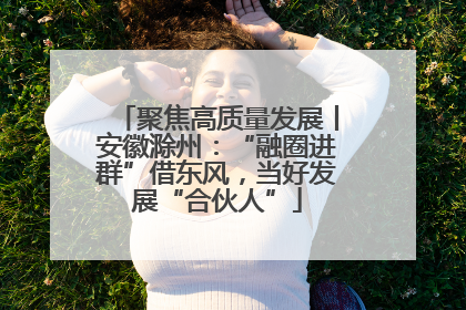 聚焦高质量发展丨安徽滁州：“融圈进群”借东风，当好发展“合伙人”