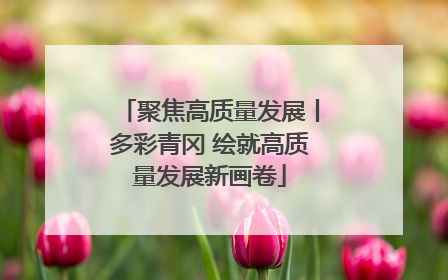 聚焦高质量发展丨多彩青冈 绘就高质量发展新画卷