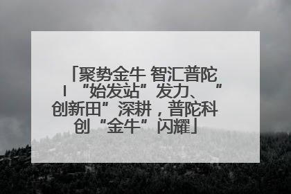 聚势金牛 智汇普陀〡“始发站”发力、“创新田”深耕，普陀科创“金牛”闪耀