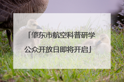 肇东市航空科普研学公众开放日即将开启