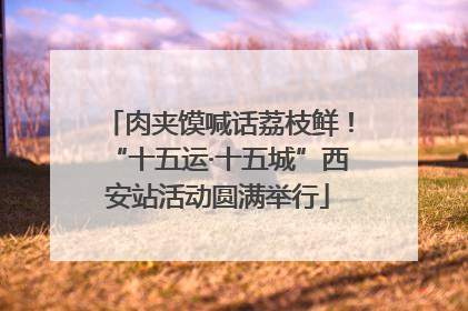 肉夹馍喊话荔枝鲜！“十五运·十五城”西安站活动圆满举行
