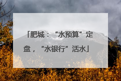 肥城：“水预算”定盘，“水银行”活水