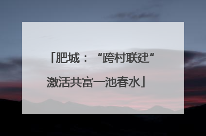 肥城：“跨村联建”激活共富一池春水