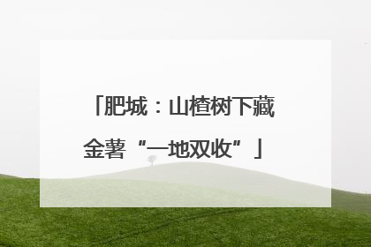 肥城：山楂树下藏金薯“一地双收”