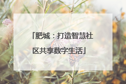肥城：打造智慧社区共享数字生活