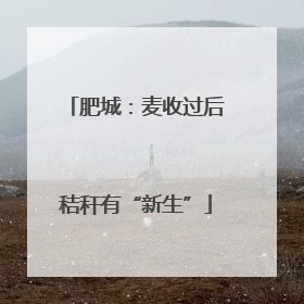 肥城：麦收过后秸秆有“新生”