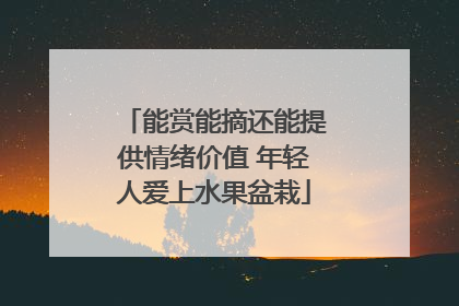 能赏能摘还能提供情绪价值 年轻人爱上水果盆栽