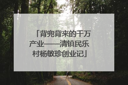 背兜背来的千万产业——清镇民乐村杨敏珍创业记
