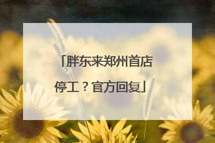 胖东来郑州首店停工？官方回复