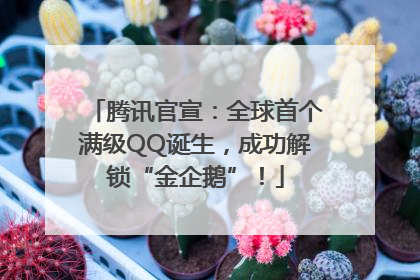 腾讯官宣：全球首个满级QQ诞生，成功解锁“金企鹅”！