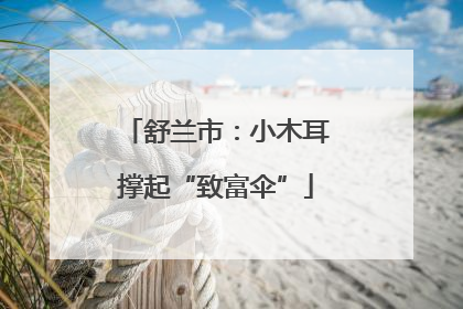 舒兰市：小木耳撑起“致富伞”