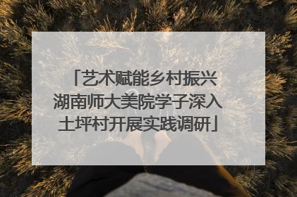 艺术赋能乡村振兴 湖南师大美院学子深入土坪村开展实践调研