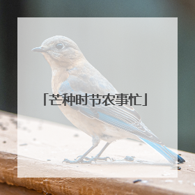 芒种时节农事忙