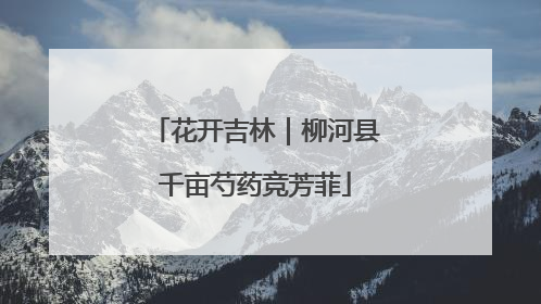 花开吉林｜柳河县千亩芍药竞芳菲