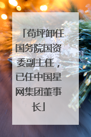 苟坪卸任国务院国资委副主任，已任中国星网集团董事长