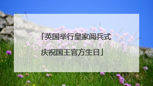 英国举行皇家阅兵式庆祝国王官方生日