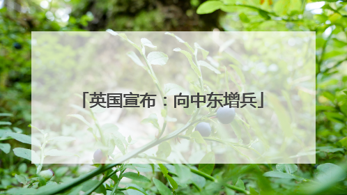 英国宣布：向中东增兵