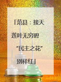 范县：接天莲叶无穷碧 “民主之花”别样红