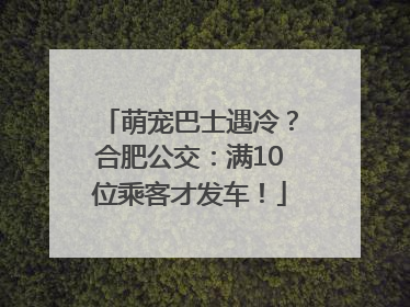 萌宠巴士遇冷？合肥公交：满10位乘客才发车！