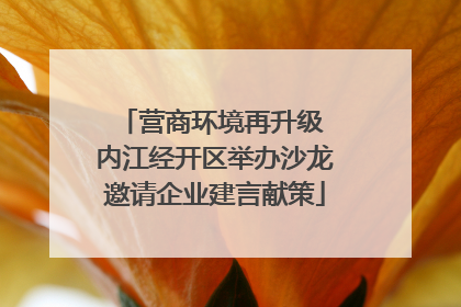 营商环境再升级 内江经开区举办沙龙邀请企业建言献策