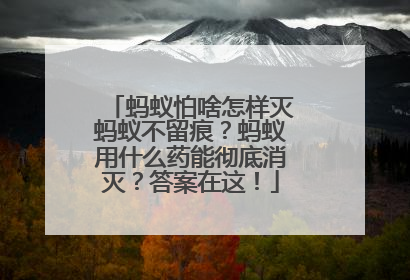 蚂蚁怕啥怎样灭蚂蚁不留痕？蚂蚁用什么药能彻底消灭？答案在这！