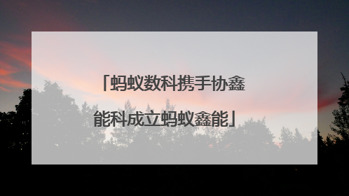 蚂蚁数科携手协鑫能科成立蚂蚁鑫能