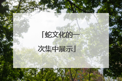 蛇文化的一次集中展示