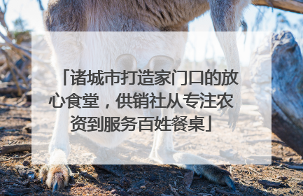 诸城市打造家门口的放心食堂，供销社从专注农资到服务百姓餐桌