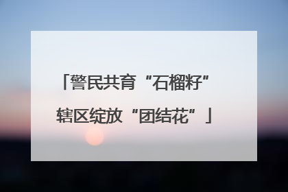 警民共育“石榴籽” 辖区绽放“团结花”