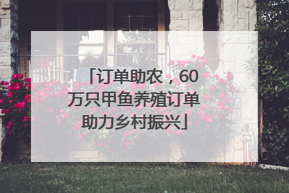 订单助农，60万只甲鱼养殖订单助力乡村振兴
