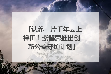 认养一片千年云上梯田！紫鹊界推出创新公益守护计划